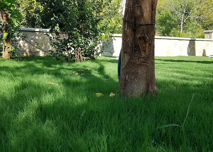 Otel Akcapinar Korfez Butik